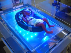 Neonatal Full Size Phototherapy Gel Pad by lenvitz
