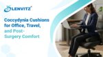 Coccydynia Cushion Guide for Work, Travel and Recovery